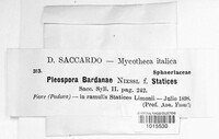 Pleospora bardanae image